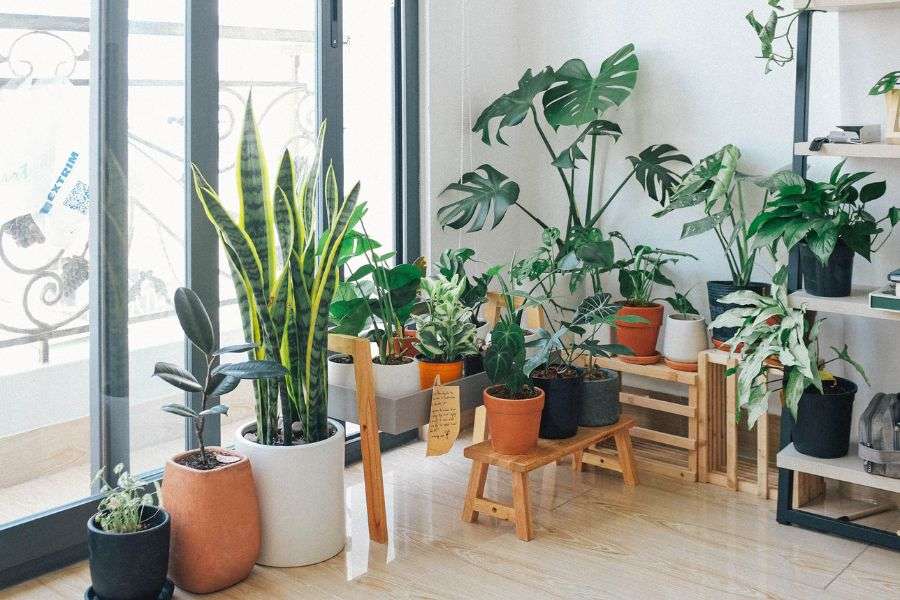 Unique Ways to Hide Valuables in a Small Apartment 3