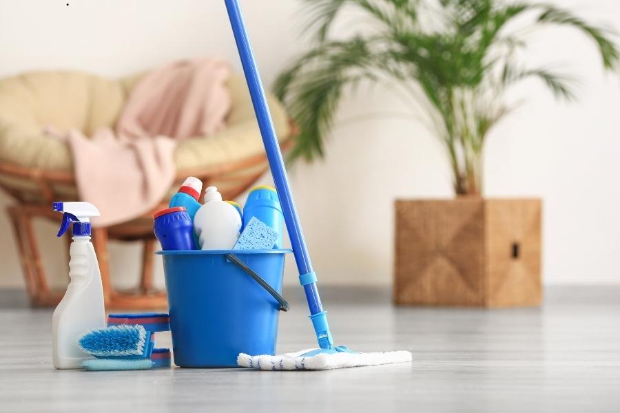 First Apartment Cleaning Supplies List 3