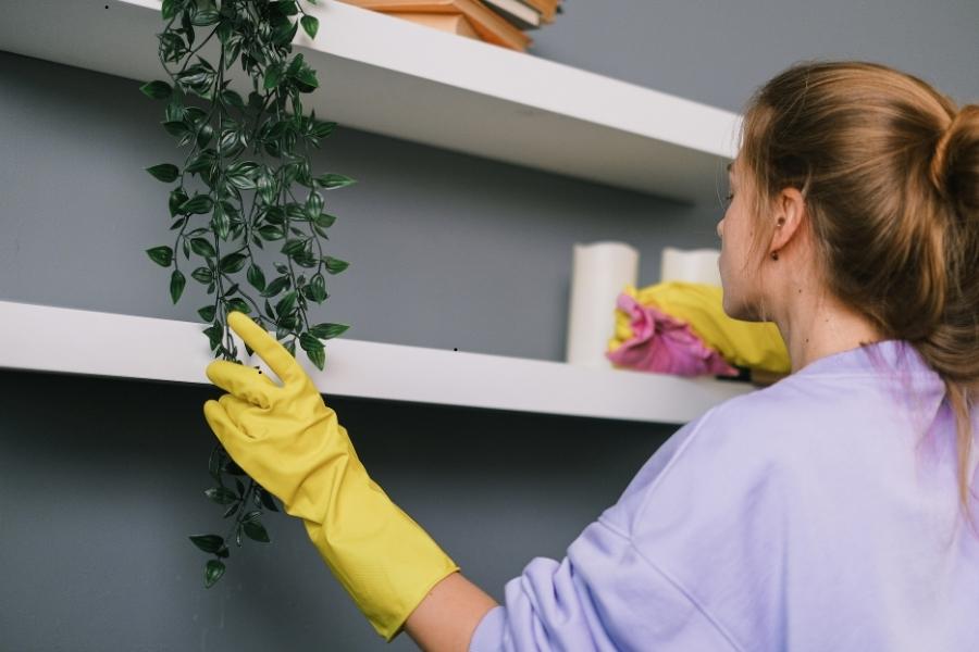 First Apartment Cleaning Supplies List 5