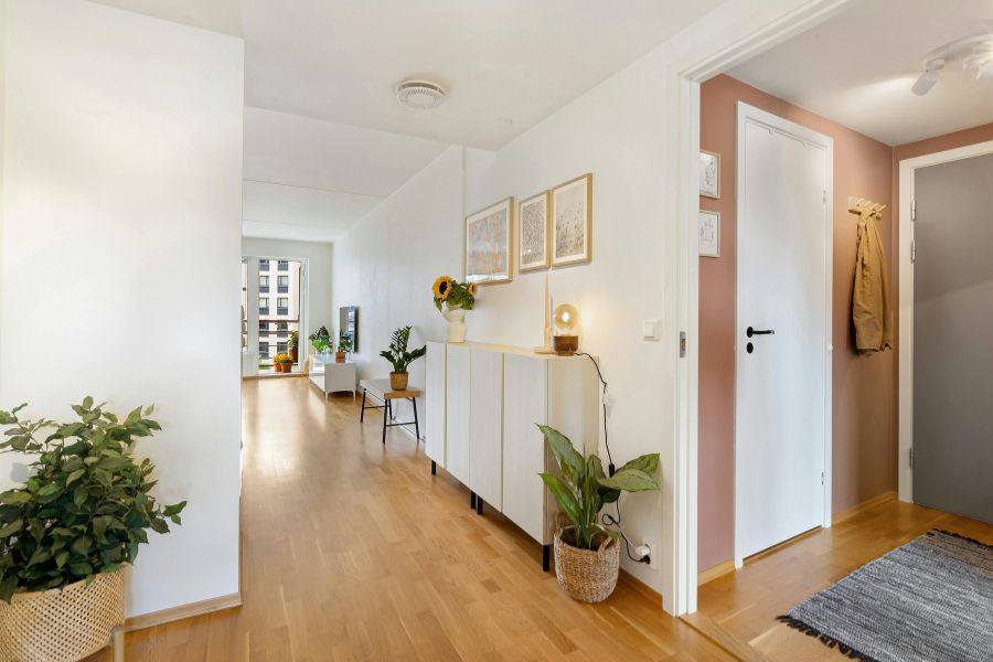 First Apartment Decorating Ideas on a Budget 5